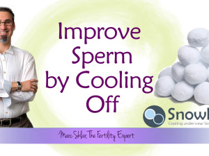 How to improve sperm when you are trying to get pregnant – Cool your Balls