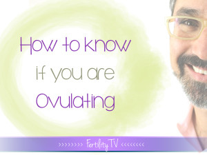 How to Recognize the Signs and Symptoms of Ovulation