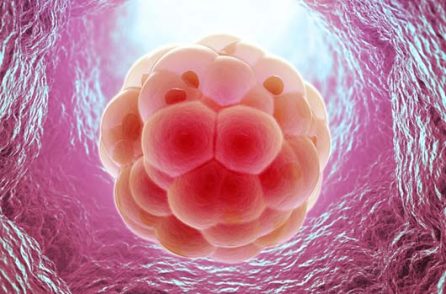 all about embryo freezing