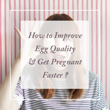 Egg Quality1