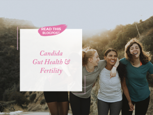 Candida, Gut Health and Fertility