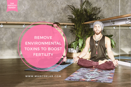 Environmental Toxins to Boost Fertility