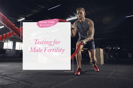 Testing for Male Fertility
